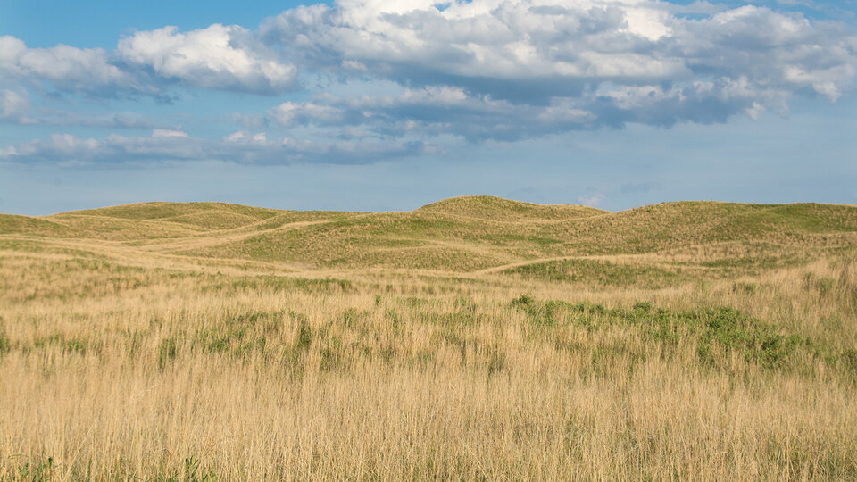 The Sandhills on a sunny, early fall day.